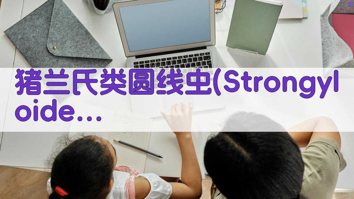 AI猪兰氏类圆线虫形态研究助手